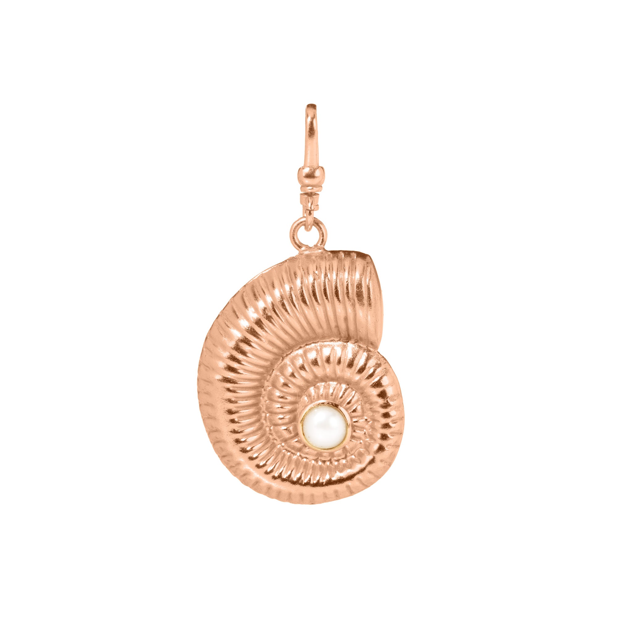 The Aurora: Reversible Ammonite Gold Shell (Turquoise & Pearl)