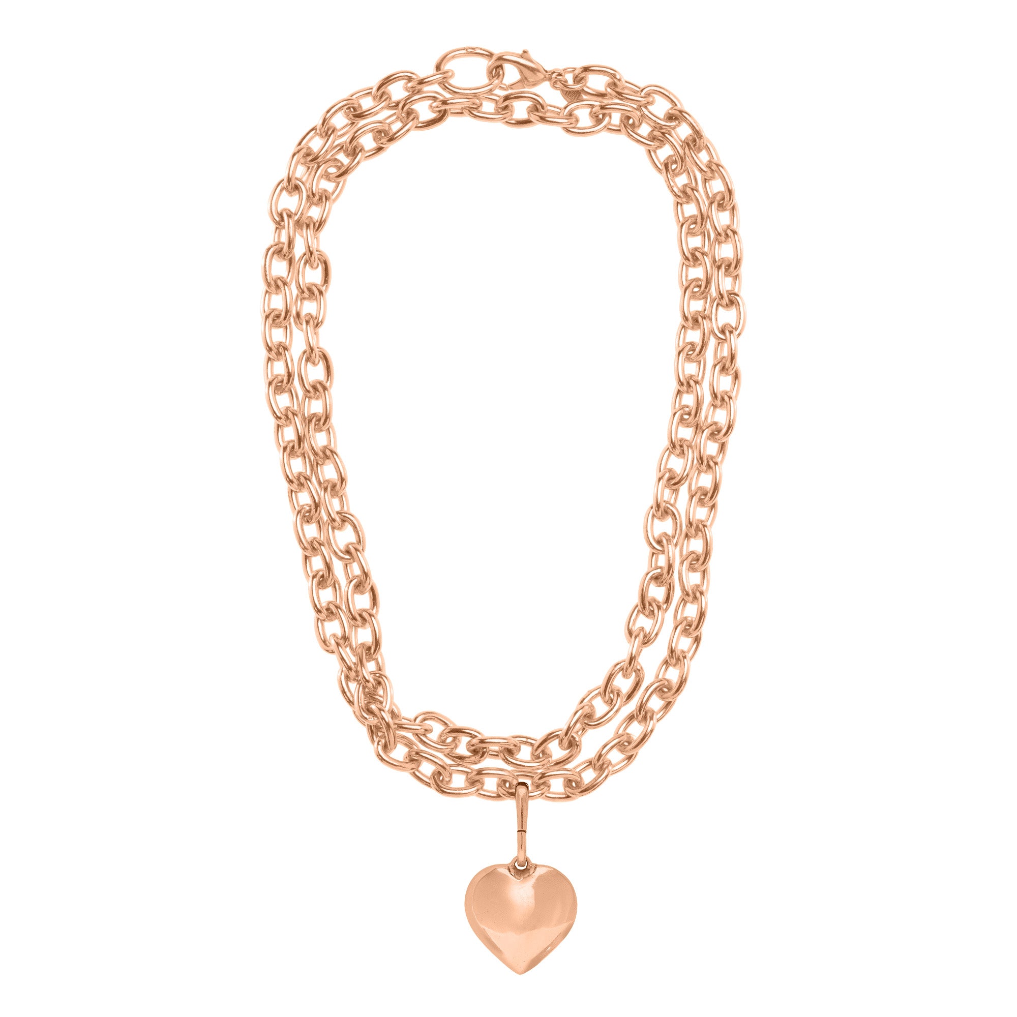 The Delphine: Long Link Necklace