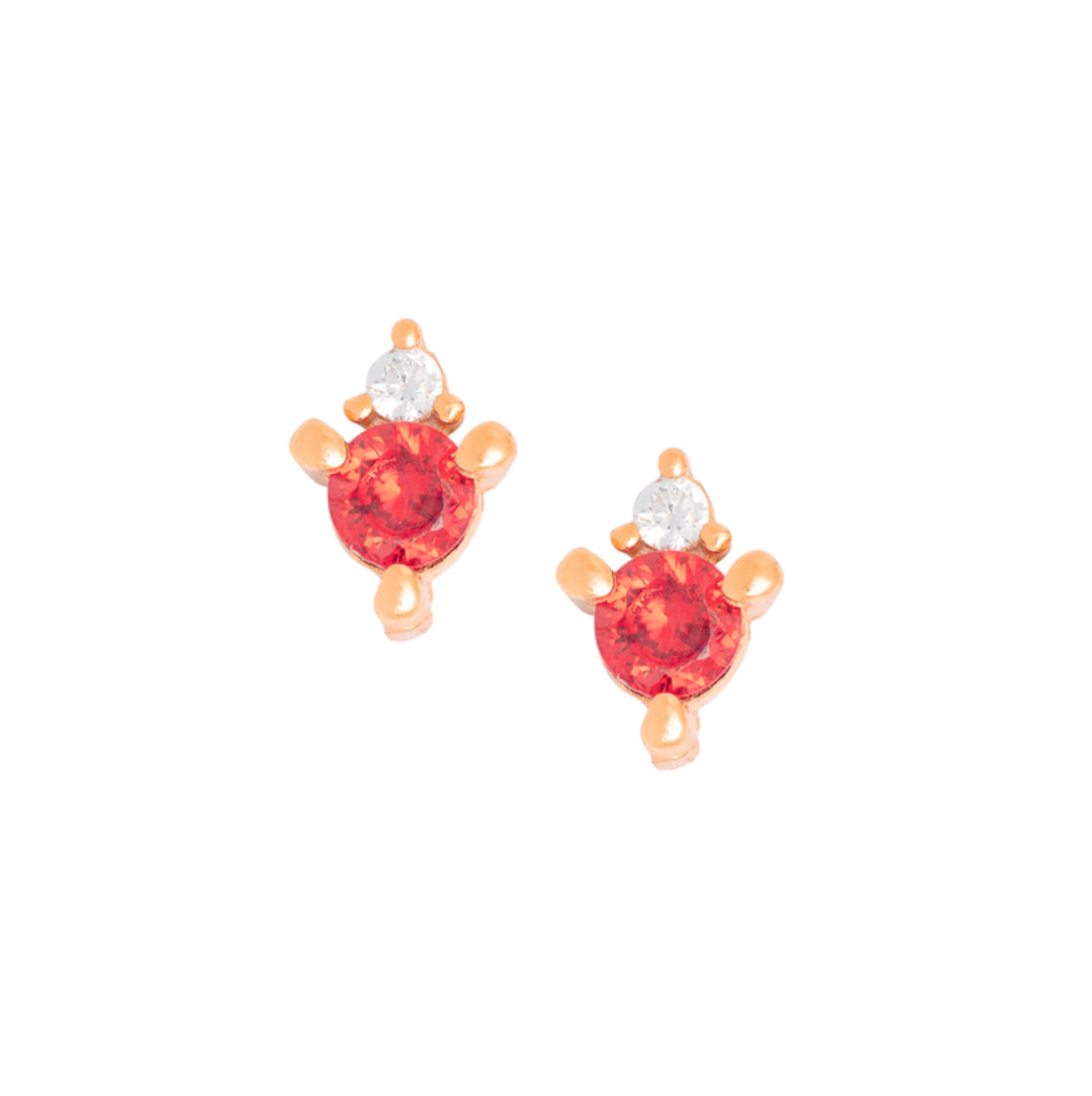 The Birthstone And Earring Set (January)