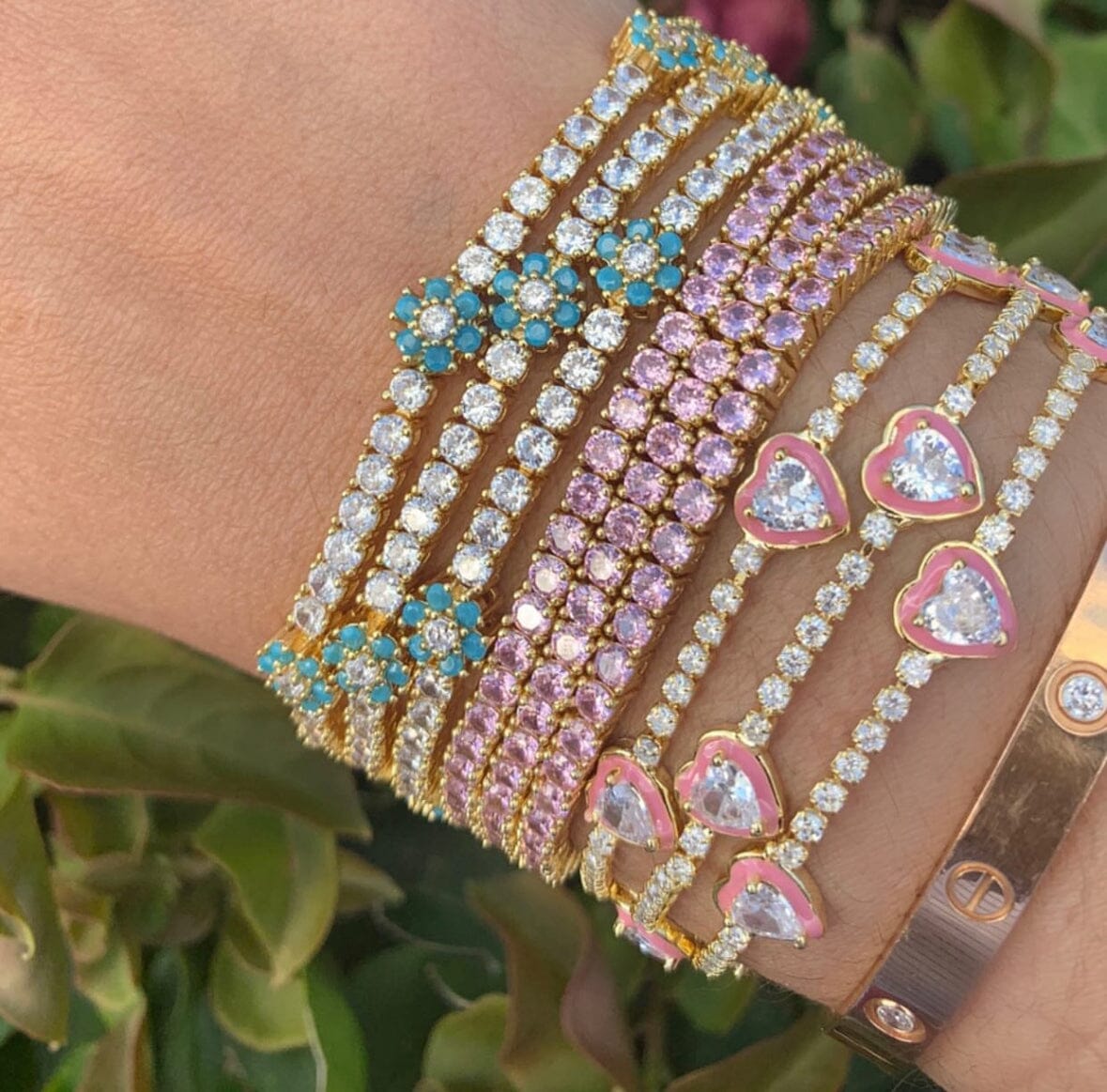 THE ROSETTA Jimena Alejandra