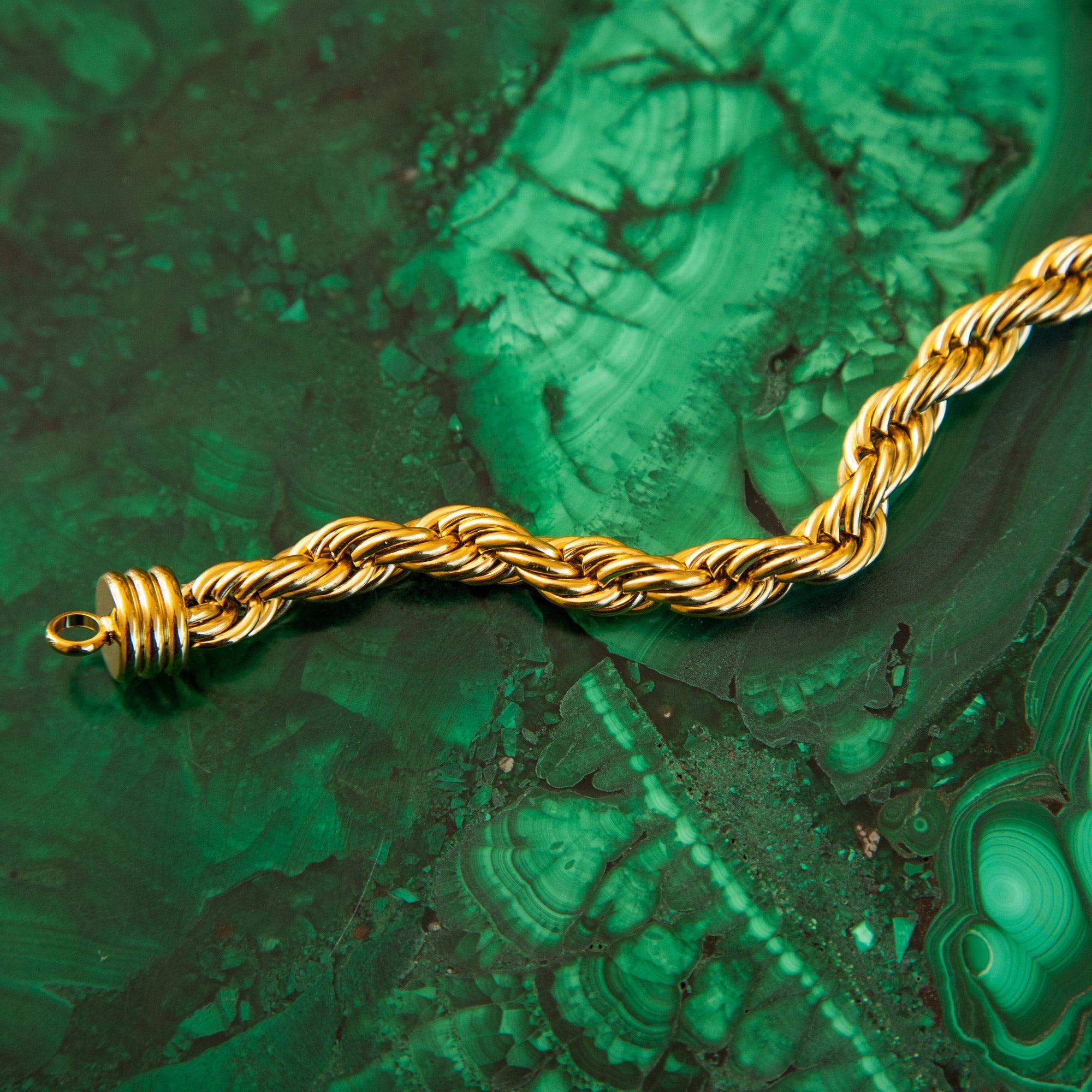 THE SOPHIA Jimena Alejandra