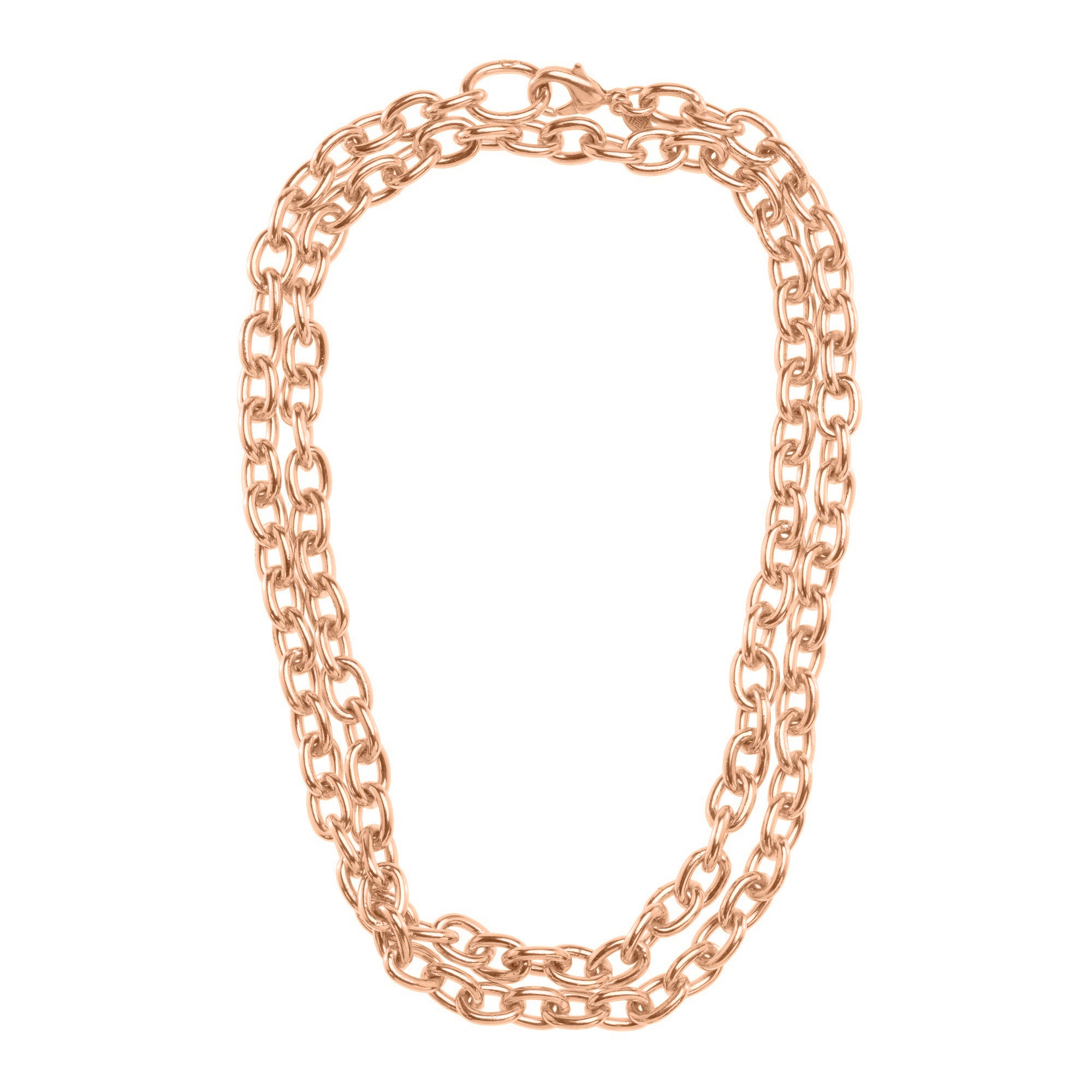 The Delphine: Long Link Necklace
