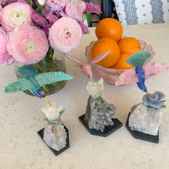 HUMMINGBIRD (Turquoise) Homewares Jimena Alejandra 